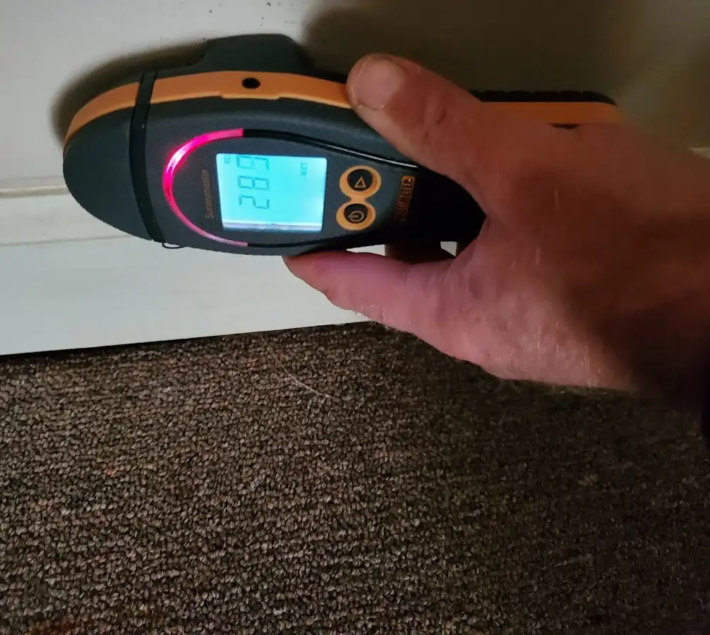 Moisture detection at baseboard during Mold Inspection & Testing in Schoolcraft