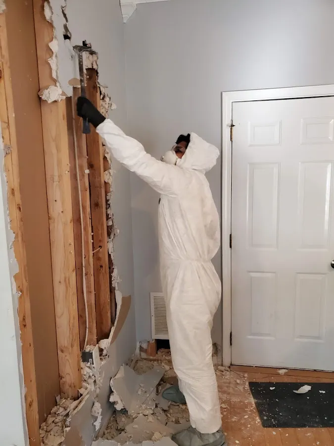 Water Damage Assessment in Schoolcraft, MI